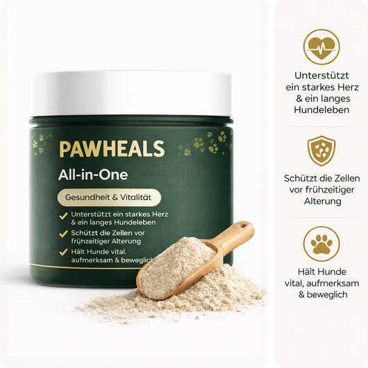 PAWHEALS. ALL IN ONE