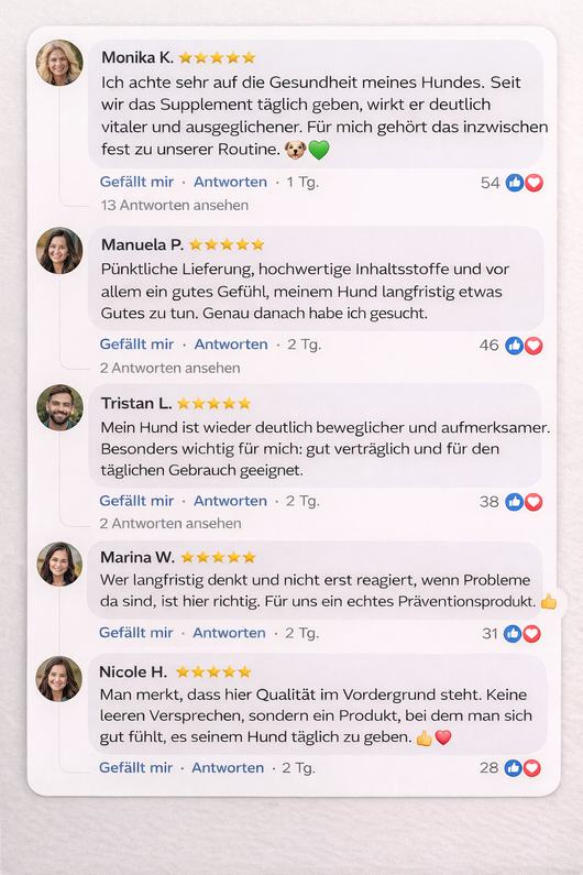 PAWHEALS. ALL IN ONE