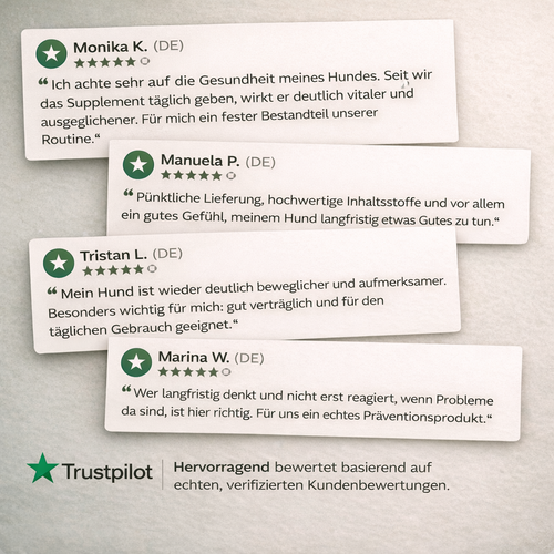 PAWHEALS. ALL IN ONE