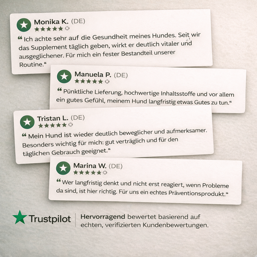 PAWHEALS. ALL IN ONE