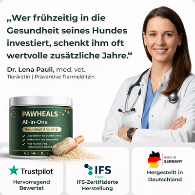 PAWHEALS. ALL IN ONE