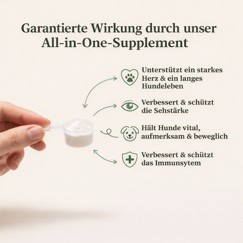 PAWHEALS. ALL IN ONE